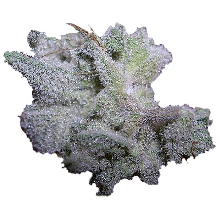 Braindamage (image for) Braindamage