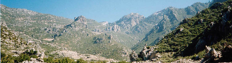 mountain_view